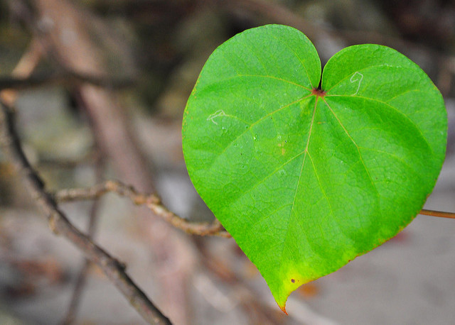 Research hacks #8: How to know when “good enough” is good enough in academic writing