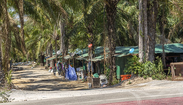 Poverty, Precarity, Ecology – Michel Serres’s natural contract